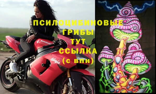 спайс Алексин