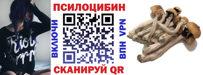Галлюциногенные грибы GOLDEN TEACHER  blacksprut зеркало  Бердск  как найти закладки 